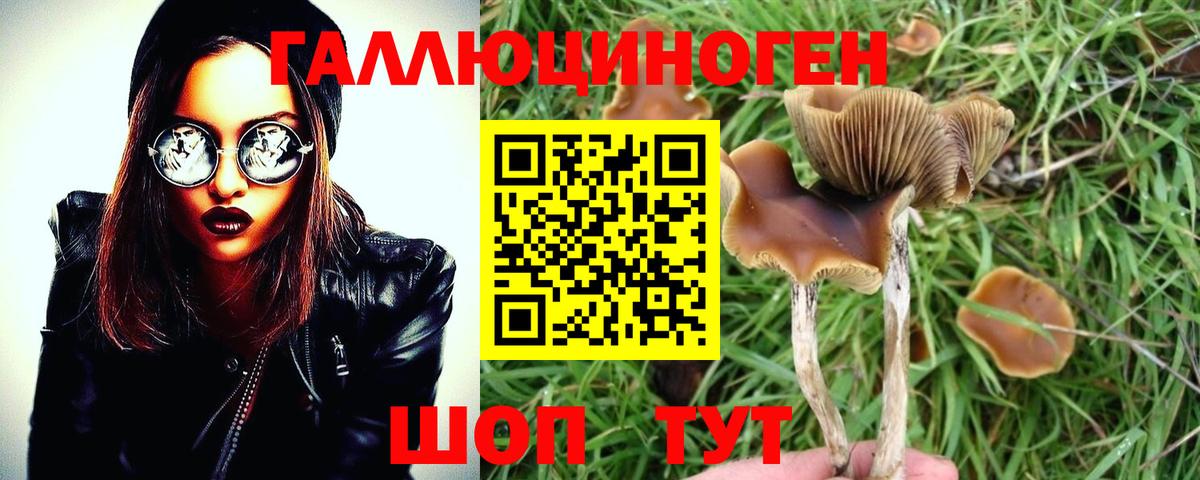 Псилоцибиновые грибы MAGIC MUSHROOMS Жигулёвск