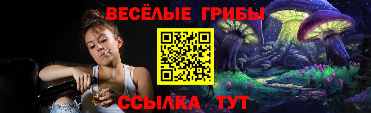 Жигулёвск  Псилоцибиновые грибы ЛСД  Вход с VPN 